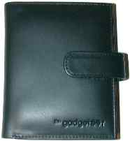 dimension-palmv-wallet2.jpg (3379 bytes)