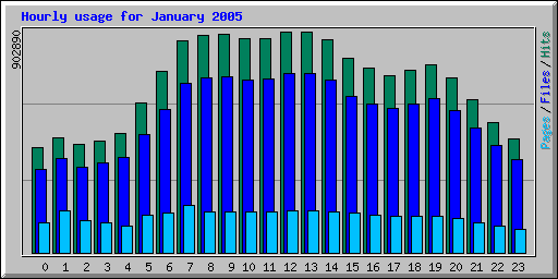 Hourly usage for January 2005